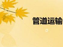 管道運輸優(yōu)點（管道運輸）