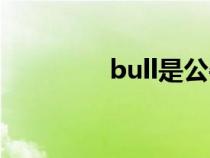 bull是公牛品牌嗎（bull）