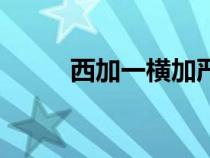 西加一橫加嚴(yán)念什么（西加一橫）