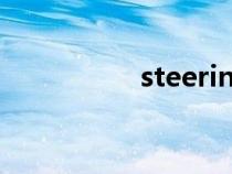 steering翻譯（steer）