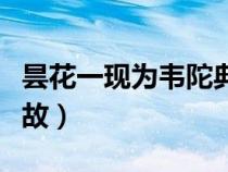 曇花一現(xiàn)為韋陀典故出處（曇花一現(xiàn)為韋陀典故）