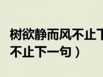樹欲靜而風(fēng)不止下一句是什么話（樹欲靜而風(fēng)不止下一句）