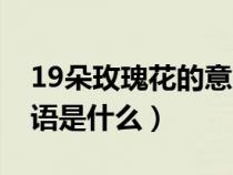 19朵玫瑰花的意義是什么（19朵玫瑰花的花語是什么）