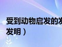 受到動(dòng)物啟發(fā)的發(fā)明是什么（受到動(dòng)物啟發(fā)的發(fā)明）