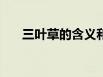三葉草的含義和寓意（三葉草的含義）
