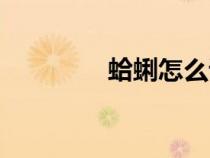 蛤蜊怎么讀（蛤蠣怎么讀）