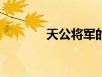 天公將軍的意思（天公將軍）