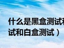 什么是黑盒測試和白盒測試?（什么是黑盒測試和白盒測試）