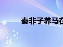 秦非子養(yǎng)馬在今天哪里（秦非子）