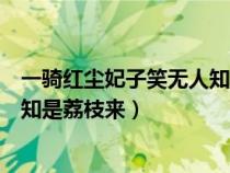 一騎紅塵妃子笑無人知是荔枝來翻譯（一騎紅塵妃子笑無人知是荔枝來）