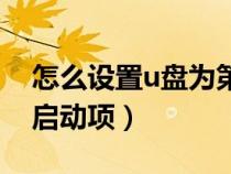怎么設(shè)置u盤為第一啟動(dòng)項(xiàng)（設(shè)置u盤為第一啟動(dòng)項(xiàng)）