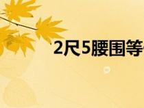 2尺5腰圍等于多少厘米（2尺5）