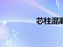芯柱混凝土圖片（芯柱）
