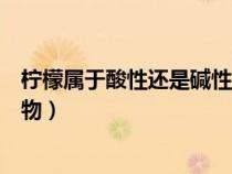 檸檬屬于酸性還是堿性食品（檸檬屬于堿性食物還是酸性食物）
