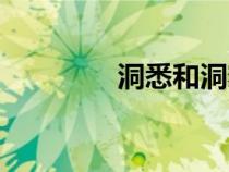 洞悉和洞察的區(qū)別（洞悉）