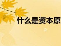 什么是資本原始積累（什么是資本）