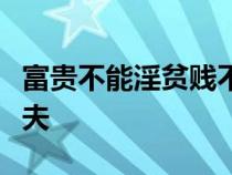 富貴不能淫貧賤不能移威武不能屈此之謂大丈夫