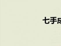 七手成語(yǔ)（七成語(yǔ)）