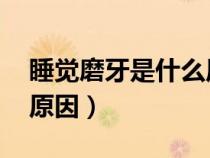 睡覺磨牙是什么原因 男人(睡覺磨牙是什么原因) 睡覺磨牙是什么原因 男人(睡覺磨牙是什么原因)