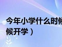 今年小學(xué)什么時候開學(xué)報名（今年小學(xué)什么時候開學(xué)）