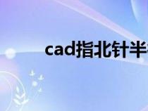 cad指北針半徑多少（cad指北針）