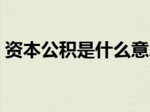 資本公積是什么意思（實(shí)收資本是什么意思）