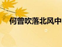 何曾吹落北風(fēng)中的上一句是什么（何曾）