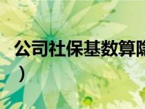 公司社保基數(shù)算隱私嗎（公司社?；鶖?shù)怎么算）