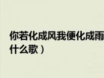 你若化成風(fēng)我便化成雨是什么歌（你若化成風(fēng)我幻化成雨是什么歌）