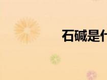 石堿是什么東西（石堿）