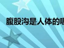 腹股溝是人體的哪個部位（腹股溝是哪里）