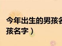 今年出生的男孩名字有教程嗎（今年出生的男孩名字）
