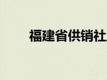 福建省供銷社主任（福建省供銷社）