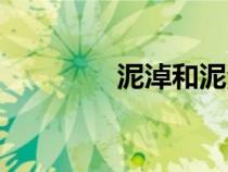 泥淖和泥沼的區(qū)別（泥淖）