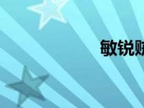 敏銳賊宏（找賊宏）