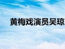 黃梅戲演員吳瓊個人簡歷（黃梅戲演員）