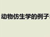 動(dòng)物仿生學(xué)的例子50個(gè)(動(dòng)物仿生學(xué)的例子) 動(dòng)物仿生學(xué)的例子50個(gè)(動(dòng)物仿生學(xué)的例子)