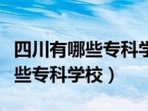 四川有哪些?？茖W校即將升為本科（四川有哪些?？茖W校）