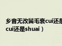 鄉(xiāng)音無(wú)改鬢毛衰cui還是shuai什么意思(鄉(xiāng)音無(wú)改鬢毛衰讀cui還是shuai) 鄉(xiāng)音無(wú)改鬢毛衰cui還是shuai什么意思(鄉(xiāng)音無(wú)改鬢毛衰讀cui還是shuai)