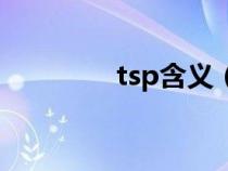 tsp含義（tsp是什么意思）