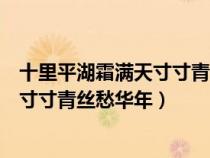 十里平湖霜滿天寸寸青絲愁華年全詩意思(十里平湖霜滿天寸寸青絲愁華年) 十里平湖霜滿天寸寸青絲愁華年全詩意思(十里平湖霜滿天寸寸青絲愁華年)