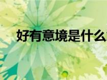 好有意境是什么意思（意境是什么意思）