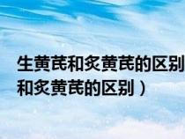 生黃芪和炙黃芪的區(qū)別功效與作用小孩能喝黃芪水（生黃芪和炙黃芪的區(qū)別）