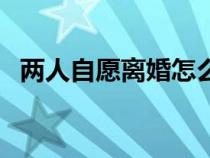 兩人自愿離婚怎么離（事實(shí)婚姻怎么離婚）