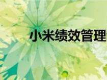 小米績效管理制度（績效管理制度）