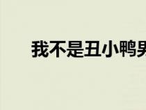 我不是丑小鴨男穿女（我不是丑小鴨）
