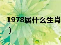 1978屬什么生肖年齡多大（1978屬什么生肖）