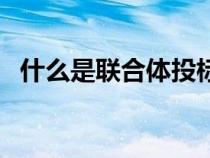 什么是聯(lián)合體投標(biāo)（什么叫做聯(lián)合體投標(biāo)）