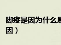 腳疼是因?yàn)槭裁丛蛞鸬模_疼痛是什么原因) 腳疼是因?yàn)槭裁丛蛞鸬模_疼痛是什么原因)