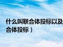 什么叫聯(lián)合體投標(biāo)以及聯(lián)合體投標(biāo)有哪些特點(diǎn)(什么叫做聯(lián)合體投標(biāo)) 什么叫聯(lián)合體投標(biāo)以及聯(lián)合體投標(biāo)有哪些特點(diǎn)(什么叫做聯(lián)合體投標(biāo))